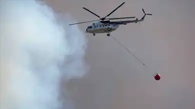 Mehmetçik, Orman Yangınlarıyla Mücadelede